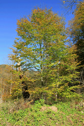 Similar image 6017583