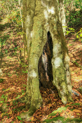 Similar image 6017588