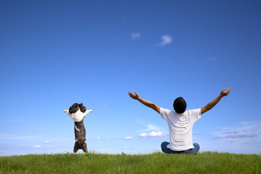 Similar image 6017863