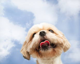 Similar image 6017871