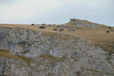 Similar image 6017954