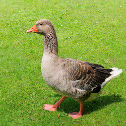 Similar image 6018097