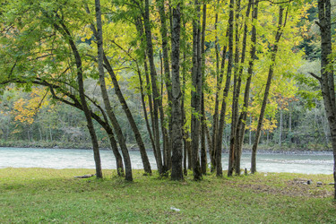 Similar image 6018100