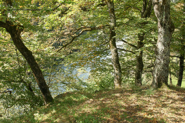 Similar image 6018219