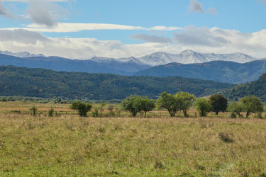 Similar image 6018221