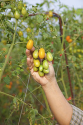 Similar image 6018355