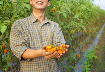 Similar image 6018357