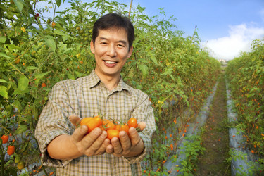 Similar image 6018360