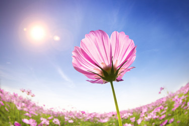 Similar image 6018418