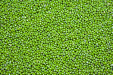 Similar image 6018420