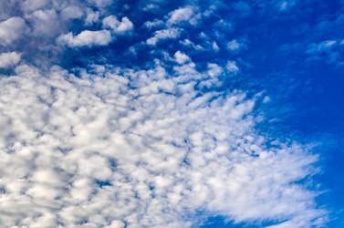 Similar image 6018484