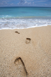 Similar image 6018494