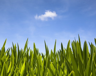 Similar image 6018501