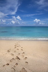 Similar image 6018502