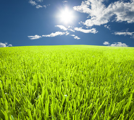 Similar image 6018504