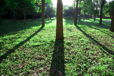 Similar image 6018525