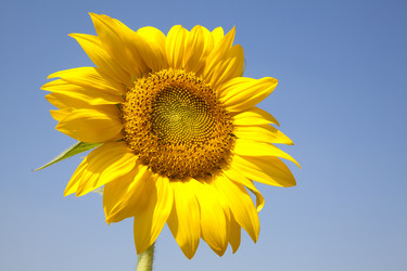 Similar image 6018707