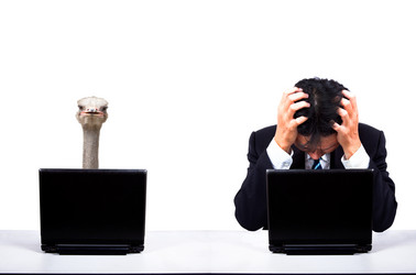 Similar image 6018732