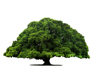 Similar image 6018828