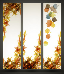 Similar image 6018940