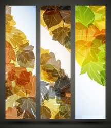 Similar image 6018941