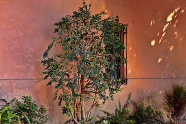 Similar image 6020040