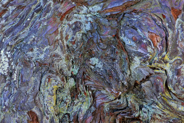 Similar image 6020041