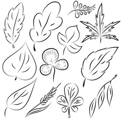 Similar image 6020094