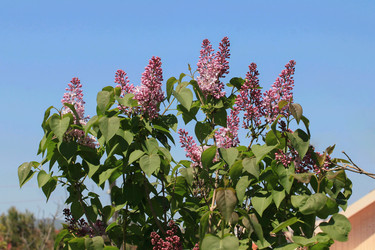 Similar image 6020168