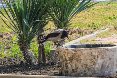 Similar image 6020171