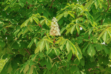 Similar image 6020172