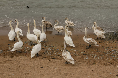 Similar image 6020488