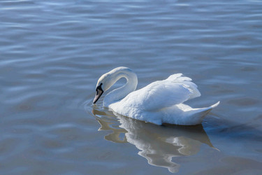 Similar image 6020491