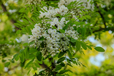 Similar image 6020492