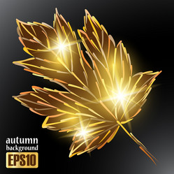 Similar image 6020911