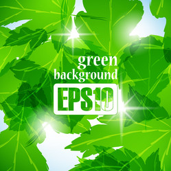 Similar image 6020960