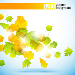 Similar image 6020979