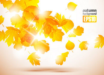 Similar image 6020981