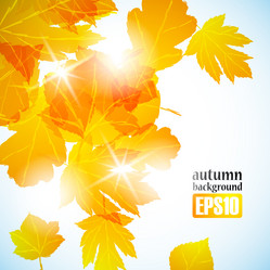 Similar image 6021001