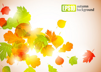 Similar image 6021005