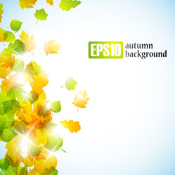 Similar image 6021007