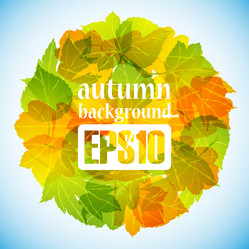 Similar image 6021013