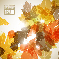 Similar image 6021014