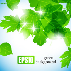 Similar image 6021015