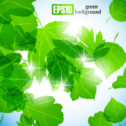 Similar image 6021016