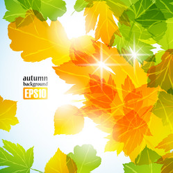 Similar image 6021026