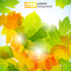 Similar image 6021029