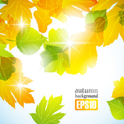 Similar image 6021030