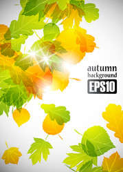 Similar image 6021034