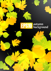 Similar image 6021035